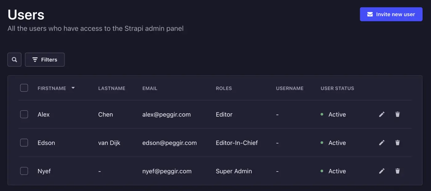 Overzicht Strapi administrator-gebruikers