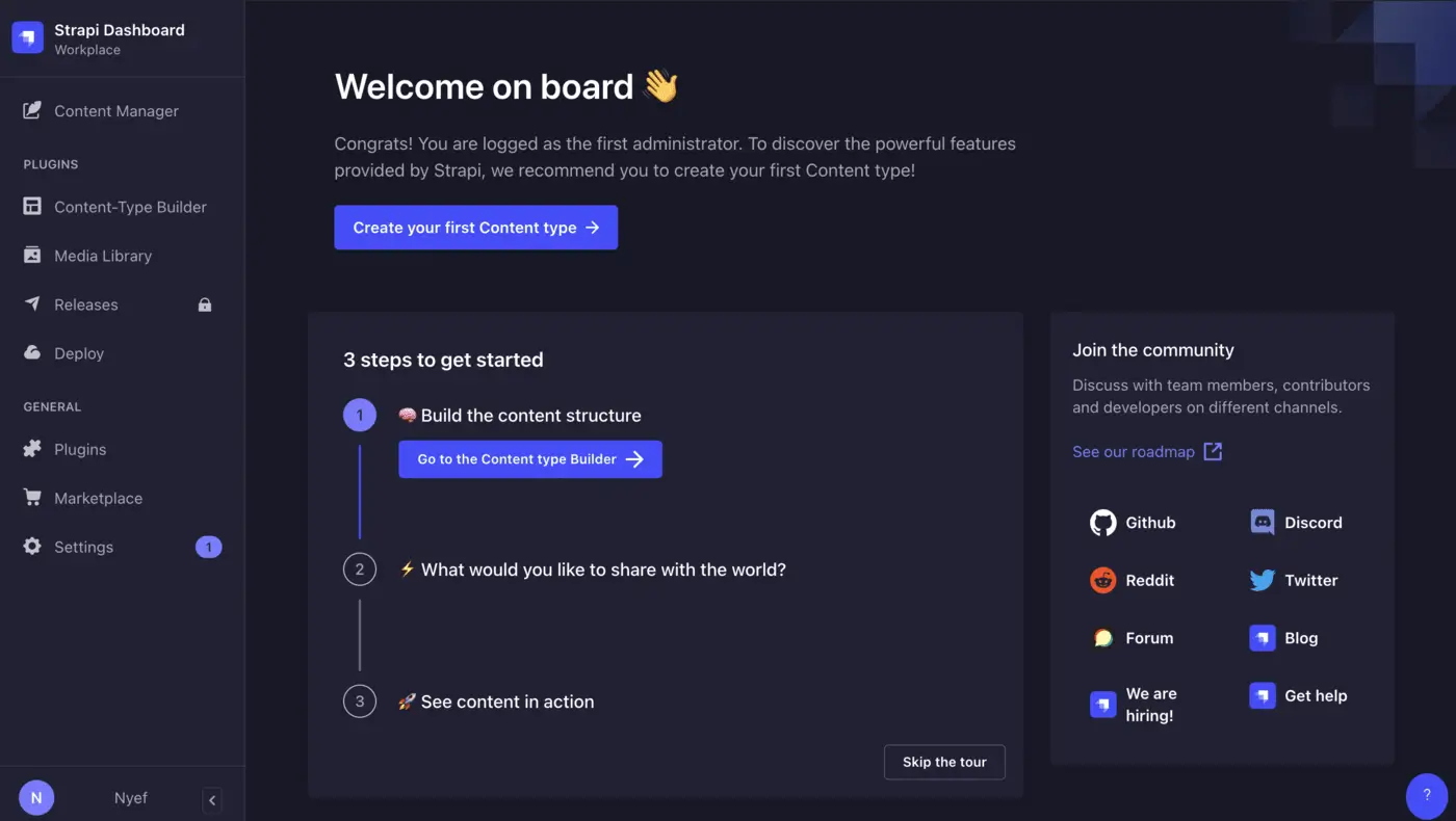 Strapi admin panel